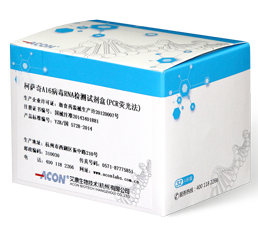 柯薩奇A16病毒RNA檢測試劑盒（PCR熒光法）_艾康生物技術（杭州）有限公司.png