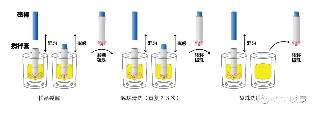 Promotor?核酸提純儀， 讓基因提純更便捷。